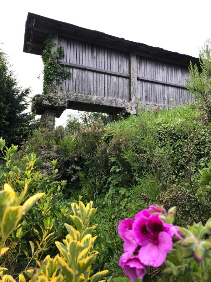 Apartamento Quinta Das Uchas São Pedro do Sul Exterior foto